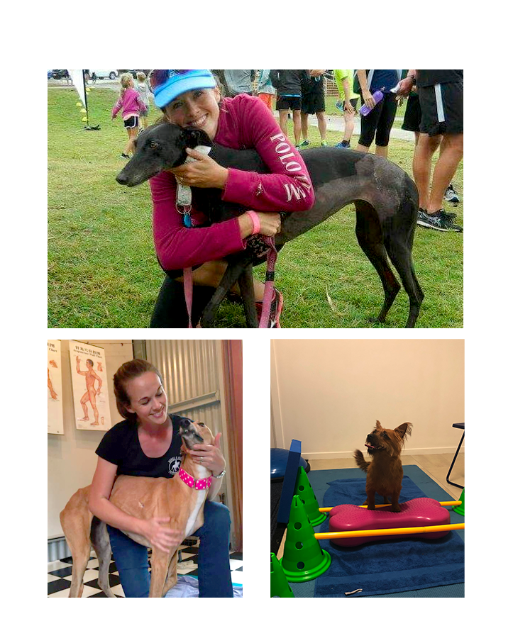 Lynne Harrison | Horse & Rider Physiotherapy